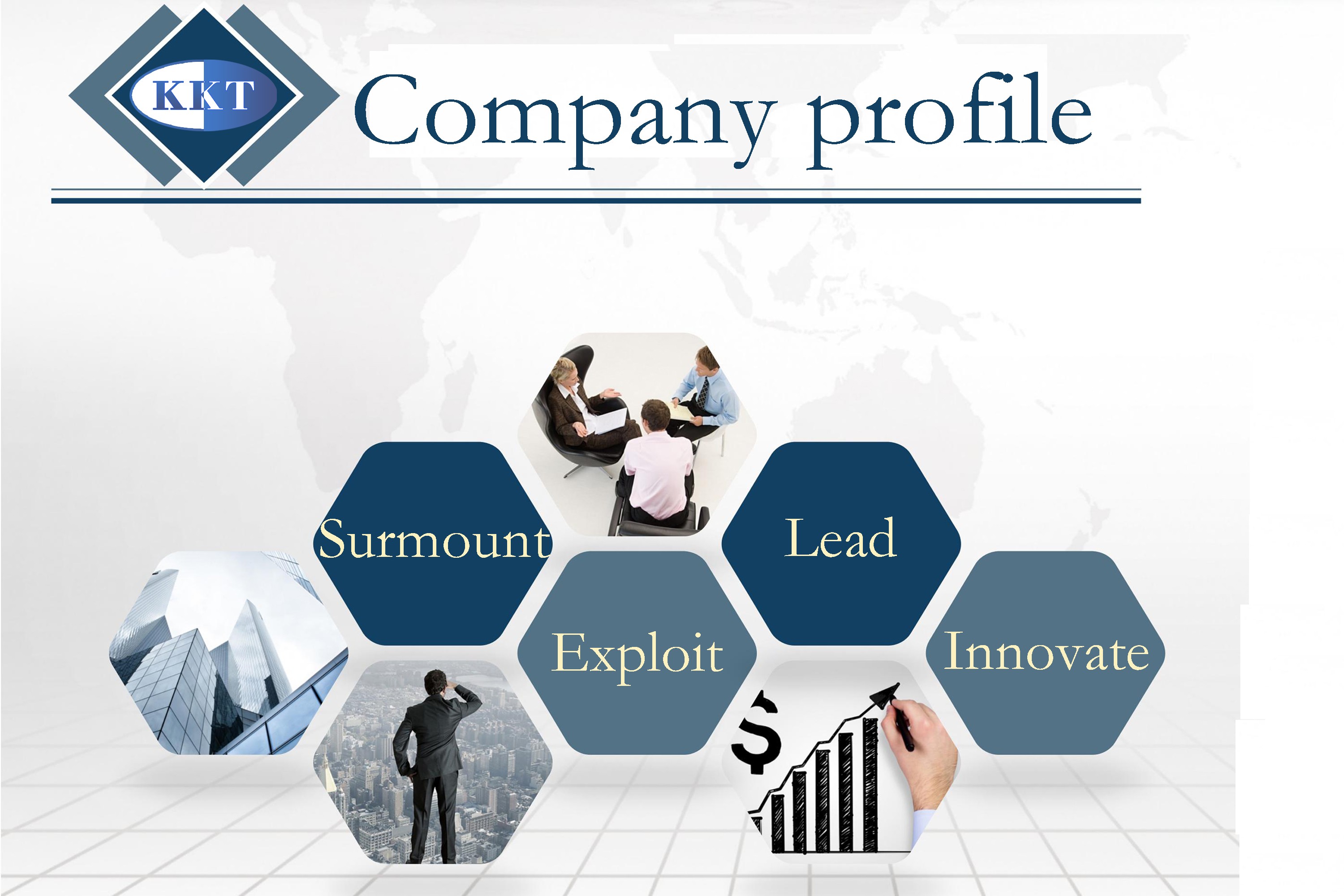 Company Profiles