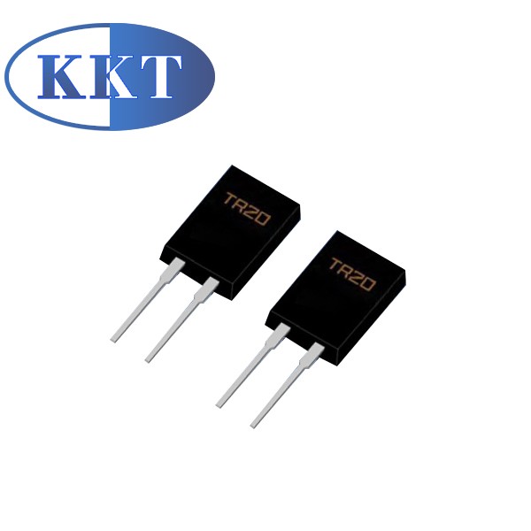 TR 20 Power Thick Film Resistor